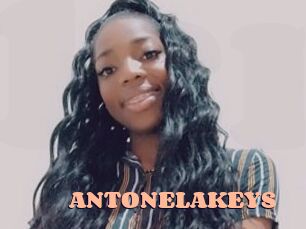 ANTONELAKEYS Chatte Rasée