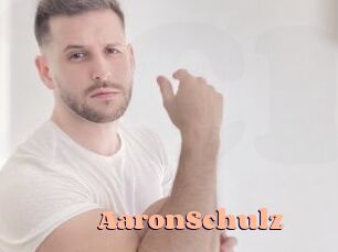 AaronSchulz