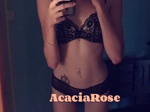 AcaciaRose