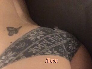 Ace Chatte Rasée