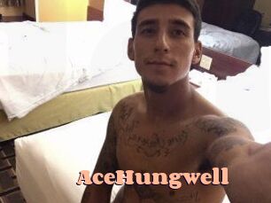 AceHungwell Chatte Rasée