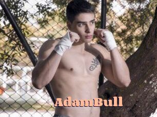 AdamBull