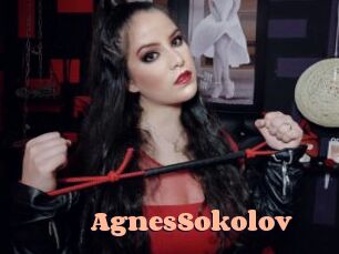 AgnesSokolov