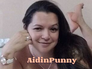 AidinPunny