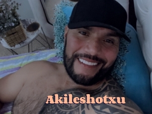 Akileshotxu Chatte Rasée