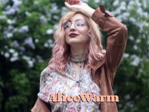AliceWarm
