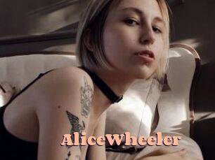 AliceWheeler Chatte Rasée