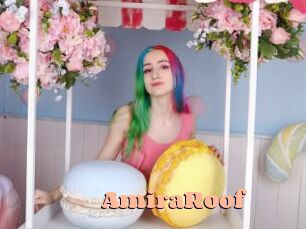 AmiraRoof