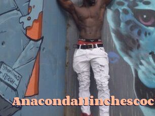 Anaconda11inchescock
