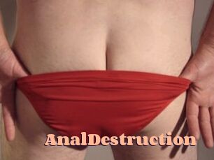 Anal_Destruction