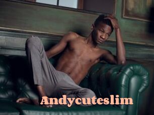 Andycuteslim