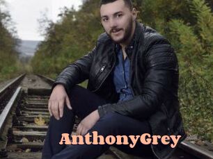 Anthony_Grey Chatte Rasée