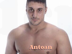 Antoan