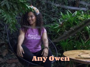 Any_Owen