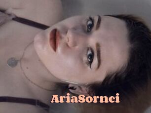 AriaSornei