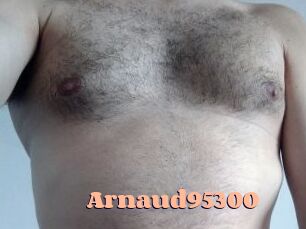 Arnaud95300