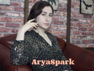 AryaSpark