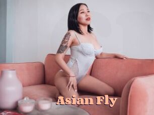 Asian_Fly