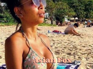 Asian_Fox