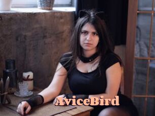 AviceBird