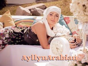 AyllynArabian