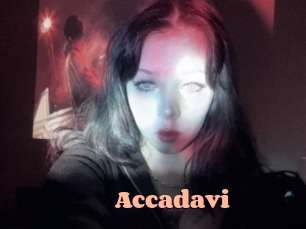 Accadavi