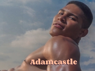 adamcastle Chatte Rasée