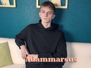 adammarsus Chatte Rasée
