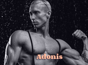 Adonis_