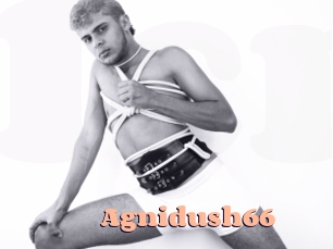 Agnidush66