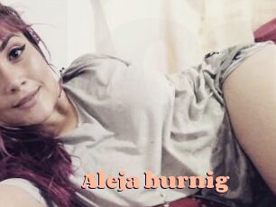 Aleja_burnig