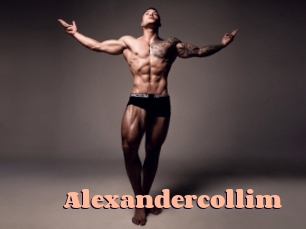 alexandercollim Chatte Rasée