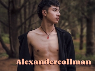 alexandercollman Chatte Rasée