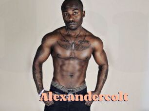 Alexandercolt