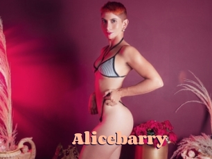 alicebarry Chatte Rasée