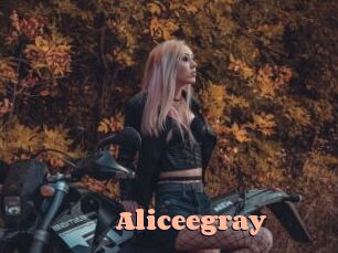 Aliceegray