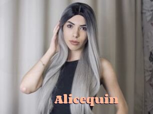 Alicequin