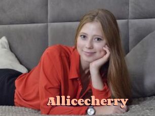 allicecherry Chatte Rasée