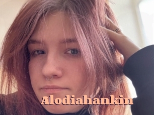 Alodiahankin