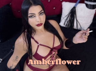 amberflower Chatte Rasée