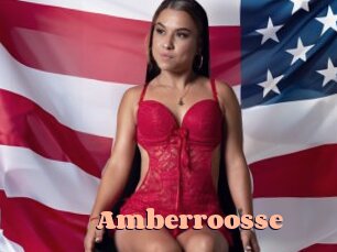 Amberroosse