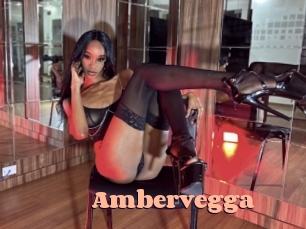 ambervegga Chatte Rasée