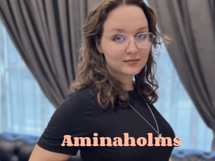 Aminaholms