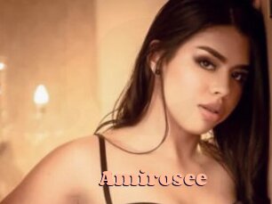 Amirosee