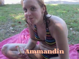 ammandin Chatte Rasée