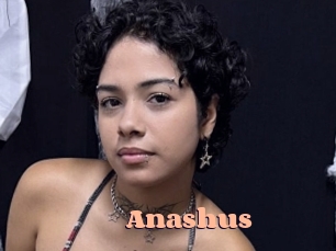 Anashus