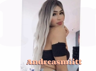 Andreasmiitt