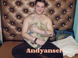 andyansel Chatte Rasée