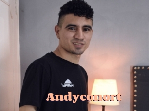 Andyconort