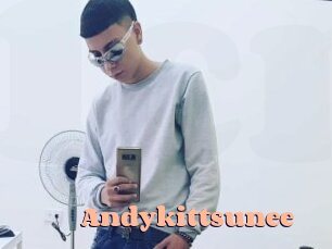 Andykittsunee